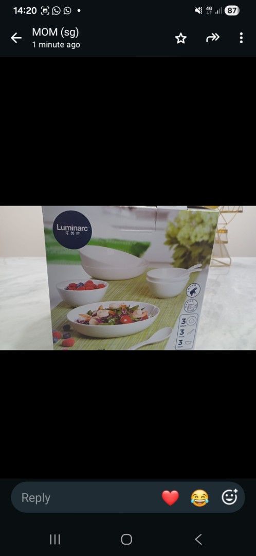 Luminarc 9-Piece Dinnerware Set LC-CJJS28