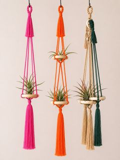 (Category: ) located in . Submitted by plantsnknots (Listing ID 1450416340, Image 1). Description: .