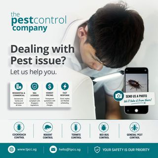 (Category: ) located in . Submitted by pestcontrolcompany (Listing ID 1176663127, Image 1). Description: .