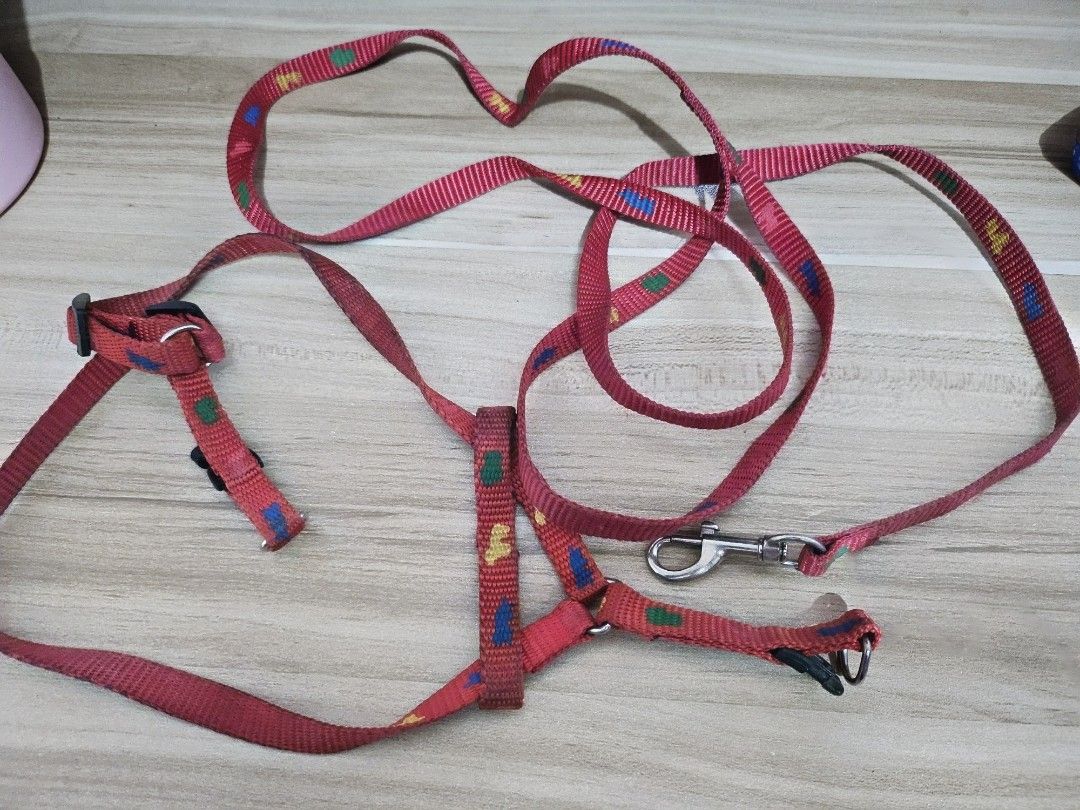 Red Dog Leash and Harness Set with Colorful Pattern (Category: Homes & Other Pet Accessories) located in Angeles City. Submitted by buxom.cheeks (Listing ID 1450437222, Image 1). Description: - Fun, colorful patterned red dog leash and harness set. - Adjustable straps for a perfect, comfortable fit. - Secure metal clasp for safe walks. - Ideal for daily walks and training sessions. - Simple to put on and take off..