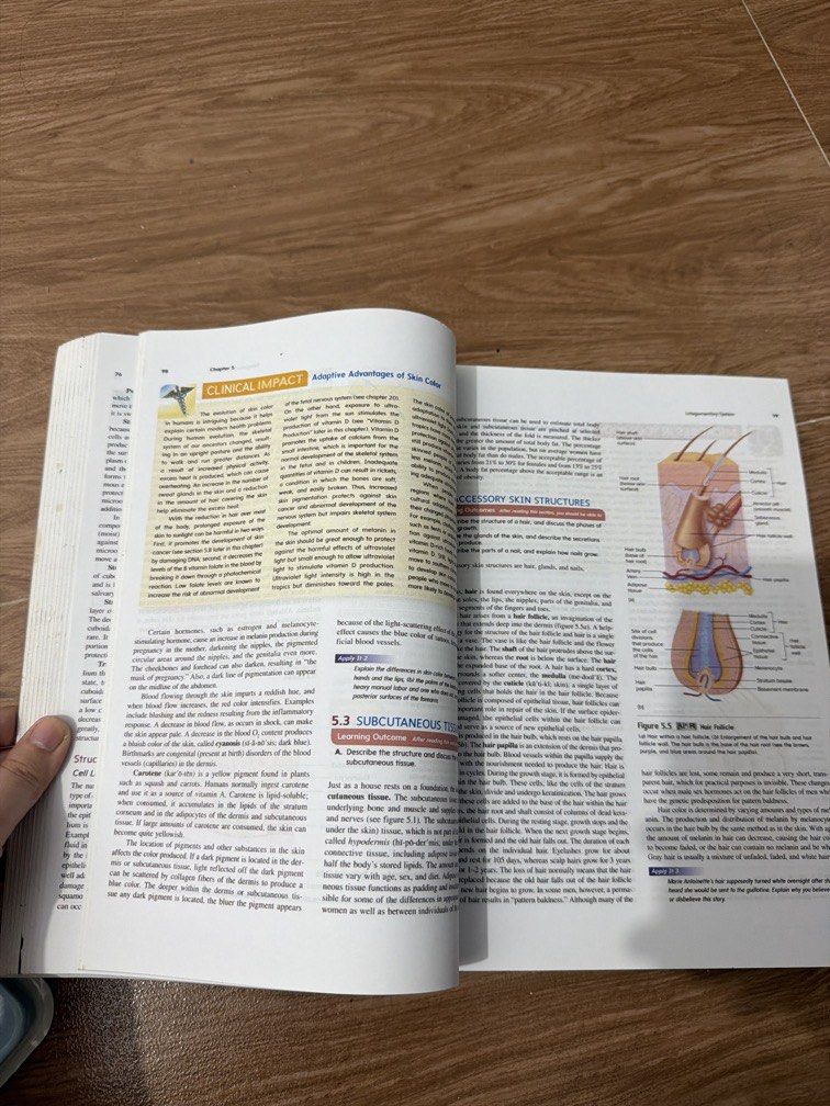 Seeleys essentials of anatomh & physiology tenth edition (Category: Textbooks) located in Manila. Submitted by preloved_gbnicole (Listing ID 1450447930, Image 2). Description: Bnew. Never been used.