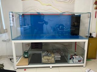 (Category: ) located in . Submitted by aquariumman (Listing ID 1450328318, Image 1). Description: .