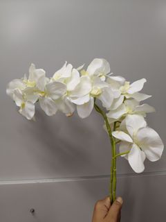 (Category: ) located in . Submitted by artificial_flowers (Listing ID 1450394257, Image 1). Description: .
