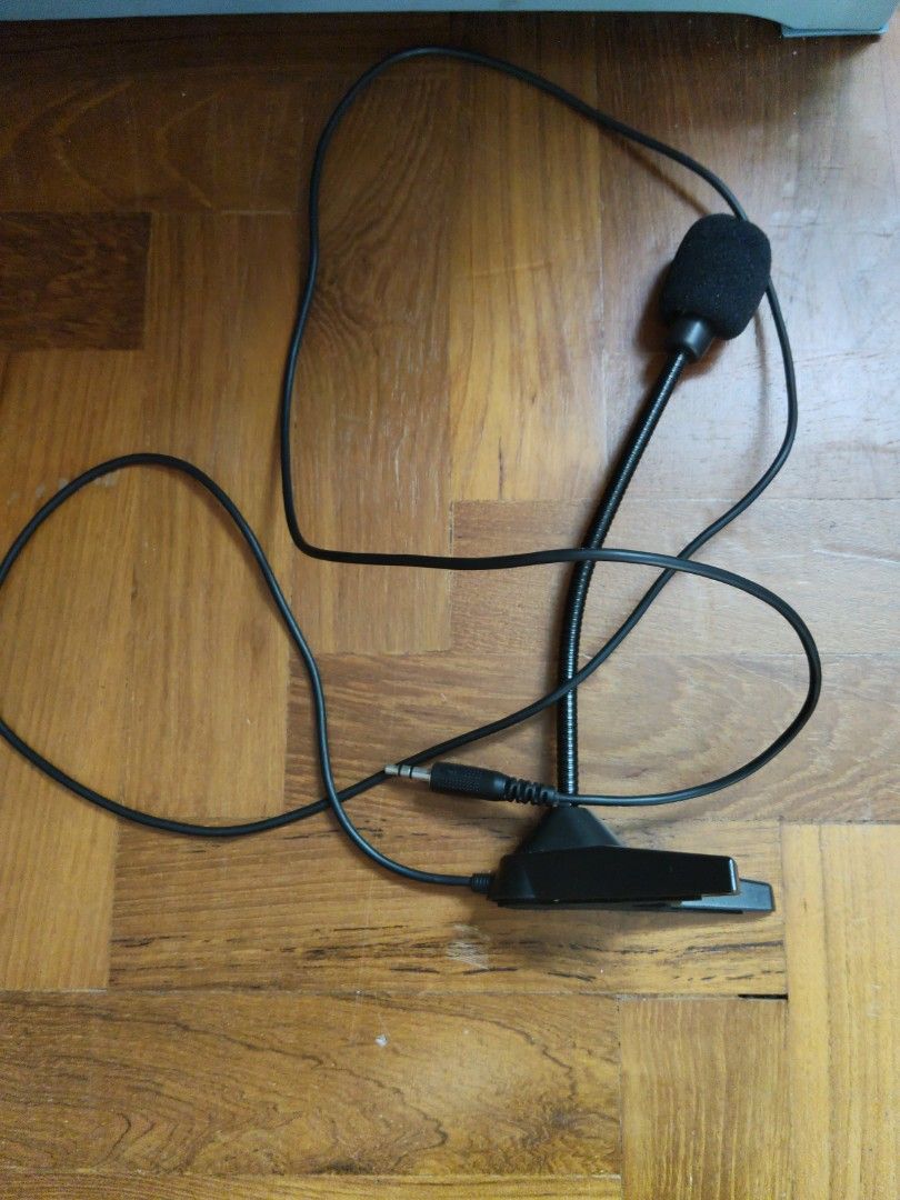 Wired mic