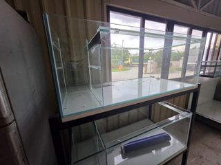 (Category: ) located in . Submitted by aquariumman (Listing ID 1450456444, Image 1). Description: .