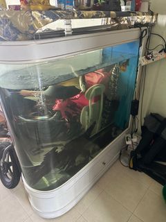 (Category: ) located in . Submitted by ratio8 (Listing ID 1450601574, Image 1). Description: .