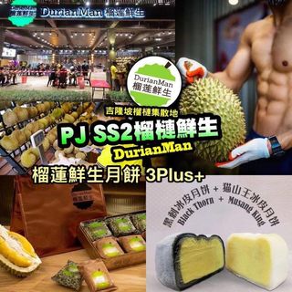 中秋月餅 Collection item 2