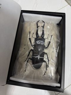 （分類：）位於 。 由 enix.s 提交（商品編號 1450717746，圖片 1）。簡介： 。