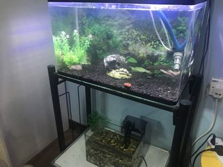 (Category: ) located in . Submitted by iqr4m (Listing ID 1450714668, Image 1). Description: .