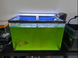 (Category: ) located in . Submitted by cornellelectricfan (Listing ID 1450564458, Image 1). Description: .