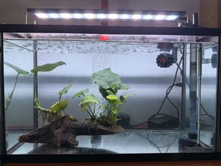 (Category: ) located in . Submitted by Listed-Till-Sold (Listing ID 1450681265, Image 1). Description: .