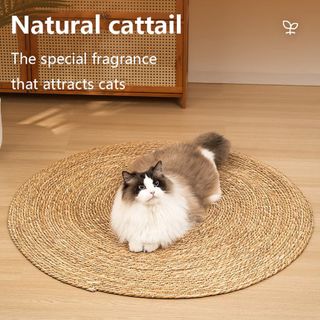 (Category: ) located in . Submitted by bella.carousel (Listing ID 1101269049, Image 1). Description: .