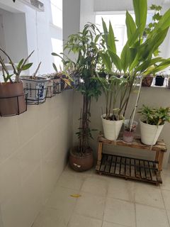 (Category: ) located in . Submitted by newber (Listing ID 1450559215, Image 1). Description: .