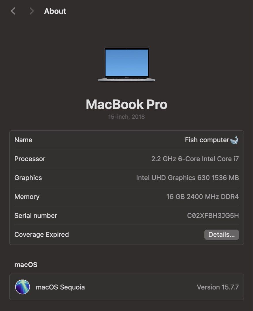 Macbook pro 2018 15inch513788727620413442