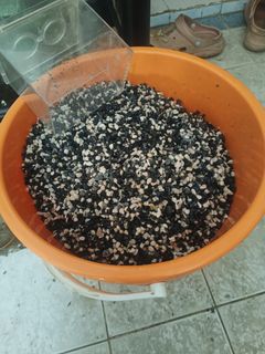 (Category: ) located in . Submitted by ghazalighazz (Listing ID 1450546390, Image 1). Description: .