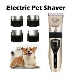 (Category: ) located in . Submitted by yeoweeliat (Listing ID 1450535248, Image 1). Description: .