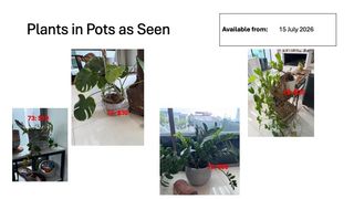 (Category: ) located in . Submitted by jack-collings (Listing ID 1450577410, Image 1). Description: .