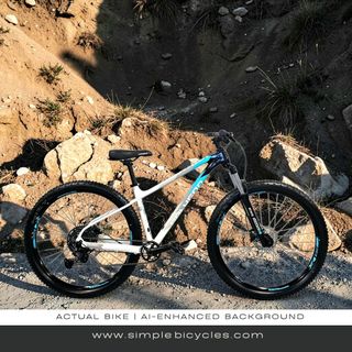 (Category: ) located in . Submitted by simplebicycles.com (Listing ID 1450656003, Image 1). Description: .
