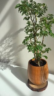 （分類：）位於 。 由 mindfulgardenart 提交（商品編號 1450530240，圖片 1）。簡介： 。