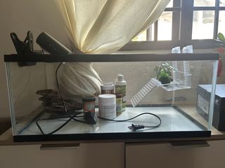 (Category: ) located in . Submitted by vinbibes (Listing ID 1450593528, Image 1). Description: .