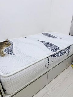 （分類：）位於 。 由 oceanlover711 提交（商品編號 1450624954，圖片 1）。簡介： 。