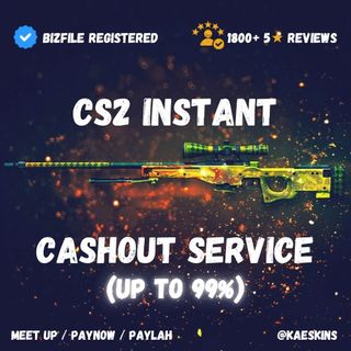 CS2 SKIN SERVICES Collection item 2