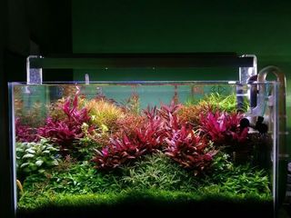 (Category: ) located in . Submitted by ascape (Listing ID 1447131902, Image 1). Description: .