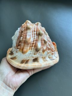 （分類：）位於 。 由 amn6330 提交（商品編號 1447113057，圖片 1）。簡介： 。