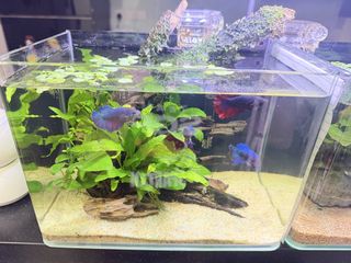 (Category: ) located in . Submitted by jxkxzxaxn (Listing ID 1447256867, Image 1). Description: .