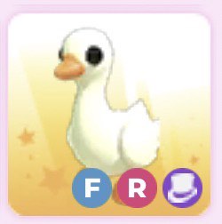 (Category: ) located in . Submitted by aurafarmer67 (Listing ID 1447178780, Image 1). Description: .