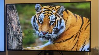 (Category: ) located in . Submitted by gocha_shop (Listing ID 1447227360, Image 1). Description: .