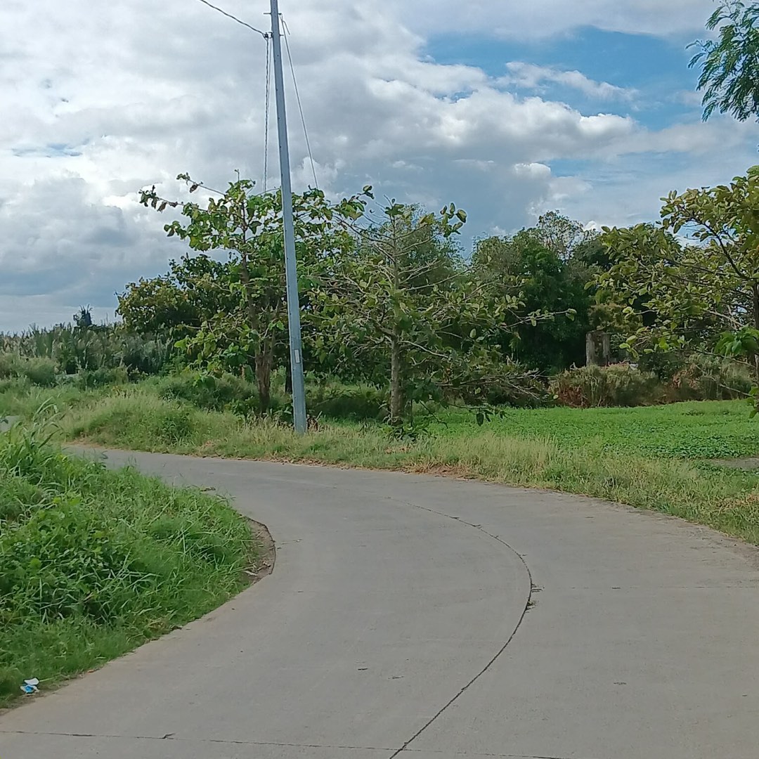 (Category: ) located in . Submitted by classymnlr35757 (Listing ID 1447279978, Image 1). Description: .