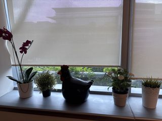 (Category: ) located in . Submitted by hy0417phd (Listing ID 1447110491, Image 1). Description: .