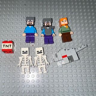 LEGO Minecraft 21587 Zombie Dungeon Set, Toys & Collectibles, Toys ...