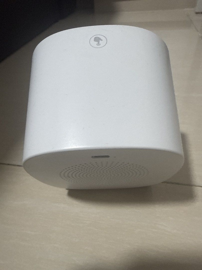 Mini Speaker498343641687019522