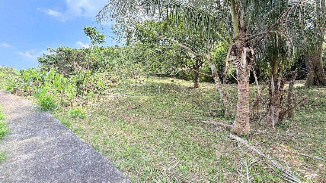 Tagaytay Country Homes 2 (Category: Lot) located in Manila. Submitted by eishty05 (Listing ID 1447252389, Image 3). Description: This lot offers a negotiable price enclave in the heart of Tagaytay. Nestled inside the secure and peaceful Tagaytay Country Homes, this welcoming community offers a cool, refreshing breeze. It is the perfect place to raise a family or enjoy a relaxing vacation house..
