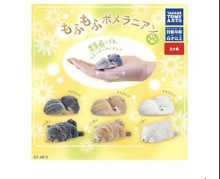 (Category: ) located in . Submitted by catwithyarn (Listing ID 1447187364, Image 1). Description: .