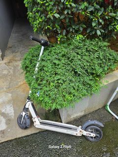 (Category: ) located in . Submitted by safewater-651f41 (Listing ID 1447172997, Image 1). Description: .