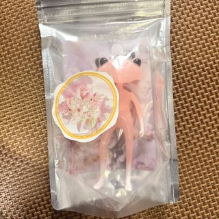 （分類：）位於 。 由 kittohse 提交（商品編號 1447114085，圖片 1）。簡介： 。