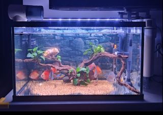 (Category: ) located in . Submitted by zjyzdb (Listing ID 1450183821, Image 1). Description: .