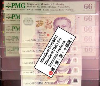 PMG Graded Collection item 3