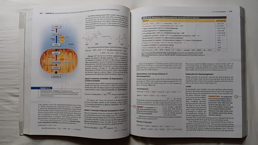 "Biochemistry: Concepts and Connections" (2016) (Category: Textbooks) located in Antipolo. Submitted by imperial_trader (Listing ID 1450829040, Image 2). Description: - RFS: personal emergency *NEGOTIABLE/OPEN TO OFFERS as well - offers will be considered until a deal is made (items are delivered to the buyer and payment is made) - auto accept price: Php 450 -Author/s: Appling, Dean R., Anthony-Cahill, Spencer J., and Mathews, Christopher K. - go