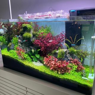 (Category: ) located in . Submitted by ascape (Listing ID 1450757981, Image 1). Description: .