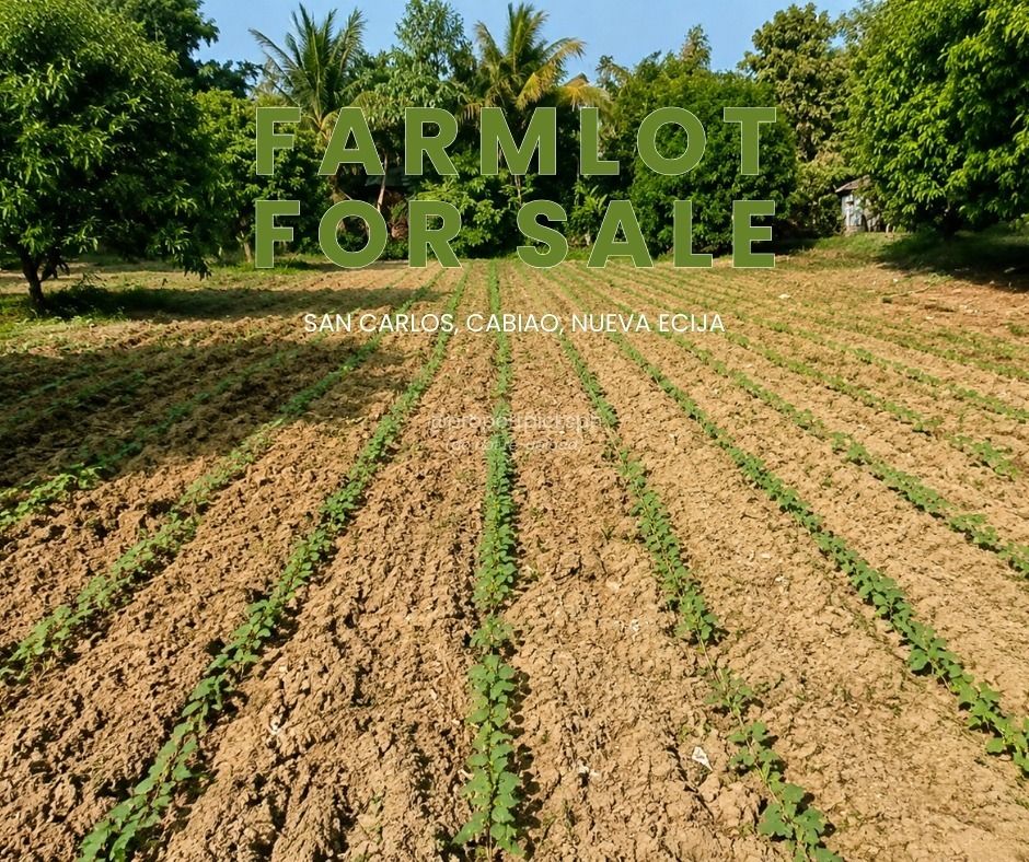 Farm Lot For Sale (Category: Lot) located in Caloocan City. Submitted by anaoj.pedragosa (Listing ID 1450782830, Image 2). Description: Farm Lot for Sale! Potential for Resort and Rest House Villa 📍2,000 per sqm. 📍Clean title 📍Updated Tax 📍3,000 sqm. 📍With fruit bearing trees 📍Tabing kalsada 📍15-20mins away sa bayan (hospital, simbahan, palengke, school) 📍Location: San Carlos, Cabiao, Nueva Ecija 📍Terms of payment: Cash or installment 📍