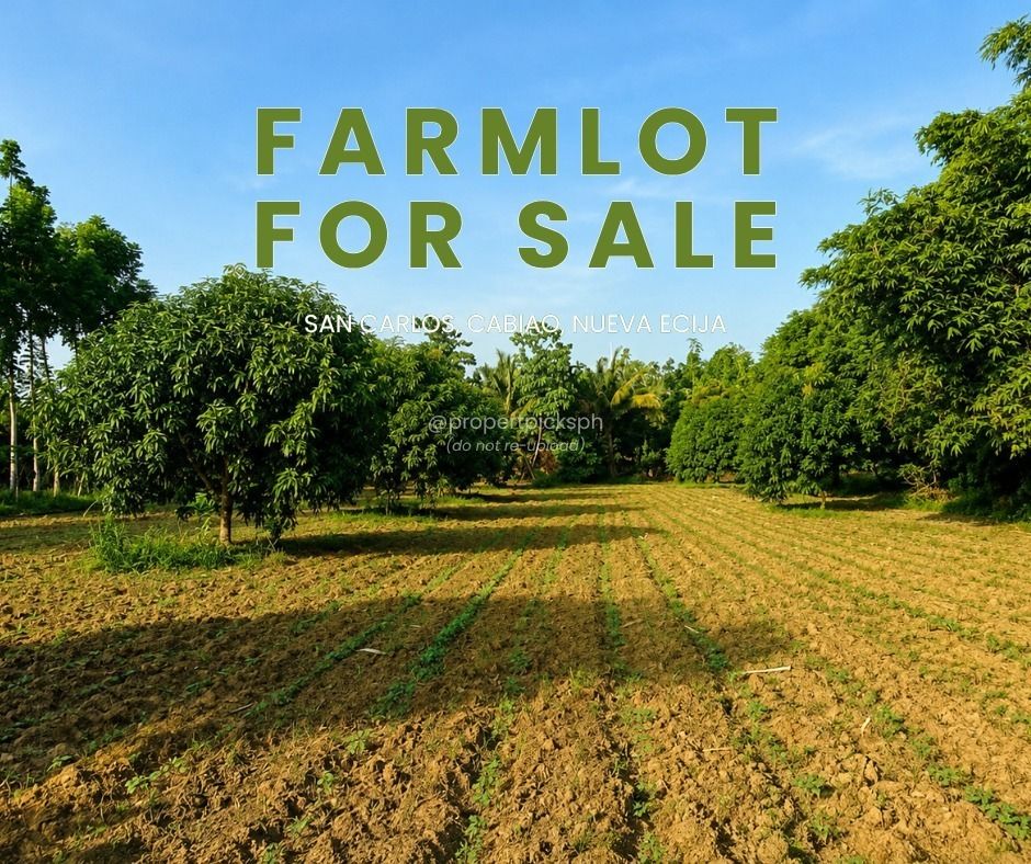 Farm Lot For Sale (Category: Lot) located in Caloocan City. Submitted by anaoj.pedragosa (Listing ID 1450782830, Image 1). Description: Farm Lot for Sale! Potential for Resort and Rest House Villa 📍2,000 per sqm. 📍Clean title 📍Updated Tax 📍3,000 sqm. 📍With fruit bearing trees 📍Tabing kalsada 📍15-20mins away sa bayan (hospital, simbahan, palengke, school) 📍Location: San Carlos, Cabiao, Nueva Ecija 📍Terms of payment: Cash or installment 📍