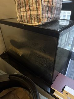 （分類：）位於 。 由 chaniikam 提交（商品編號 1450848152，圖片 1）。簡介： 。