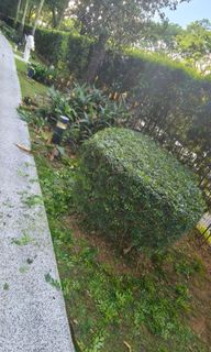 (Category: ) located in . Submitted by karups7 (Listing ID 1450839032, Image 1). Description: .