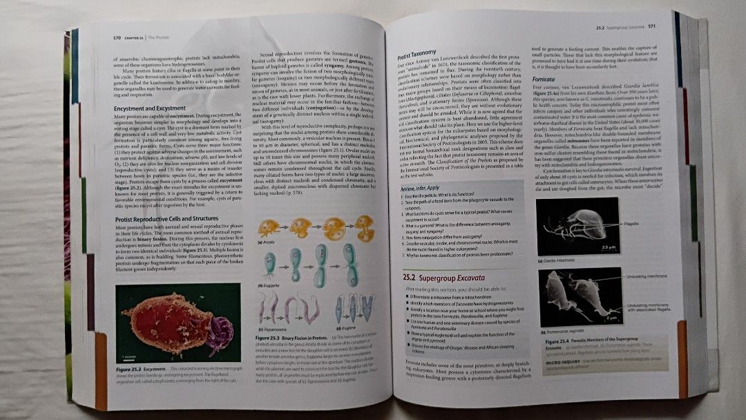 "Prescott's Microbiology (9th Edition)" (2014) (Category: Textbooks) located in Antipolo. Submitted by imperial_trader (Listing ID 1450829039, Image 2). Description: - RFS: personal emergency *NEGOTIABLE/OPEN TO OFFERS as well - offers will be considered until a deal is made (items are delivered to the buyer and payment is made) - auto accept price: Php 450 -Author/s: Willey, Joanne M., et al. - good condition - this is an older edition - good to