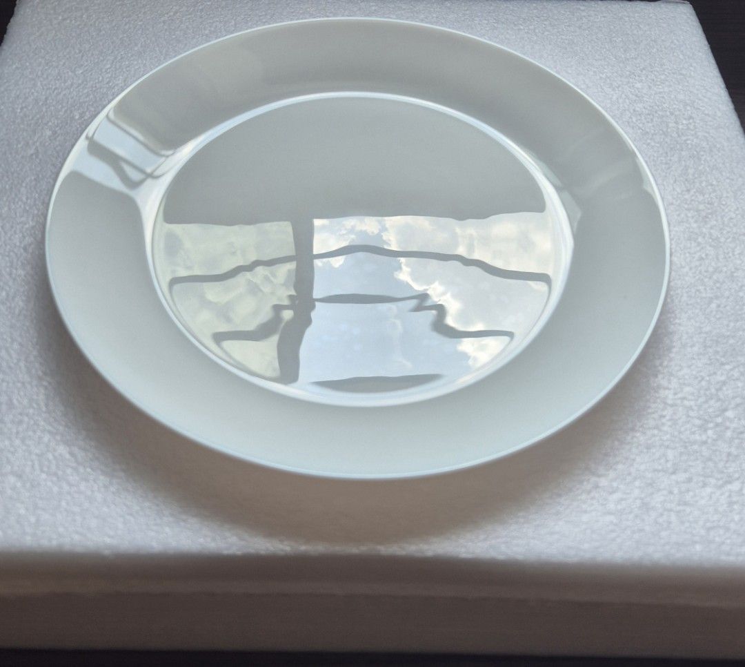 White Ceramic Dinner Plates @$1.00 ea (Available 24pcs)514625291609057281