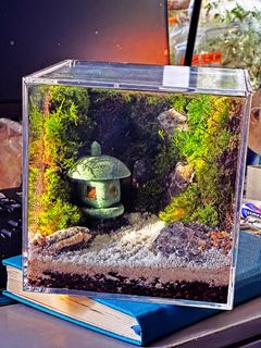 (Category: ) located in . Submitted by green_canopy_ideas (Listing ID 1450767198, Image 1). Description: .